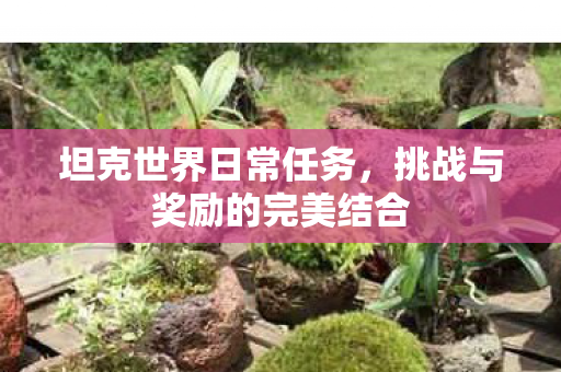 坦克世界日常任务,挑战与奖励的完美结合 坦克世界日常任务,挑战与奖励的完美结合