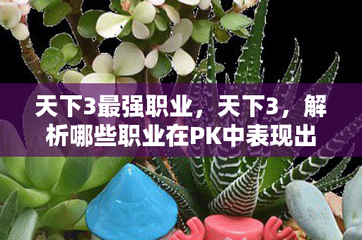 天下3最强职业,天下3,解析哪些职业在PK中表现出色 天下3最强职业,天下3,解析哪些职业在PK中表现出色