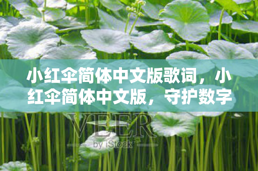 小红伞简体中文版歌词,小红伞简体中文版,守护数字生活的安全卫士 小红伞简体中文版歌词,小红伞简体中文版,守护数字生活的安全卫士