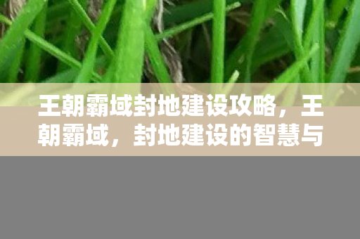 王朝霸域封地建设攻略，王朝霸域，封地建设的智慧与策略