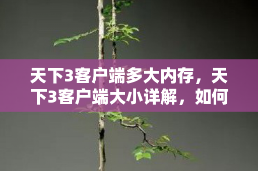 天下3客户端多大内存,天下3客户端大小详解,如何优化与高效管理 天下3客户端多大内存,天下3客户端大小详解,如何优化与高效管理