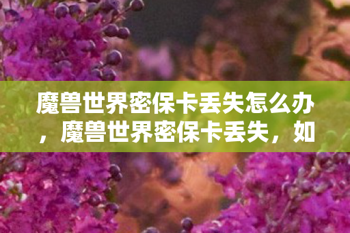 魔兽世界密保卡丢失怎么办,魔兽世界密保卡丢失,如何找回账号安全? 魔兽世界密保卡丢失怎么办,魔兽世界密保卡丢失,如何找回账号安全?