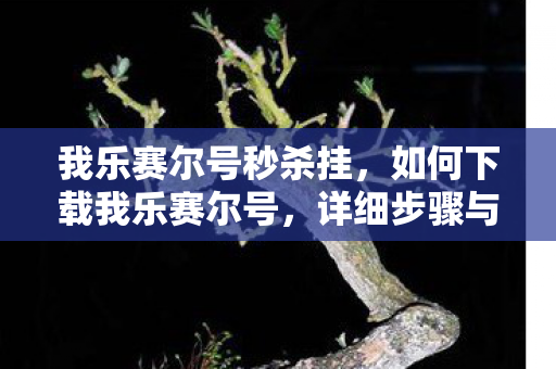 我乐赛尔号秒杀挂,如何下载我乐赛尔号,详细步骤与注意事项 我乐赛尔号秒杀挂,如何下载我乐赛尔号,详细步骤与注意事项