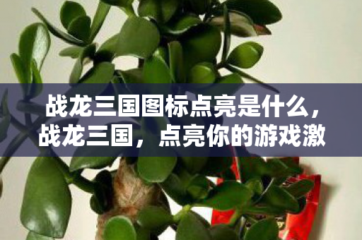 战龙三国图标点亮是什么,战龙三国,点亮你的游戏激情 战龙三国图标点亮是什么,战龙三国,点亮你的游戏激情