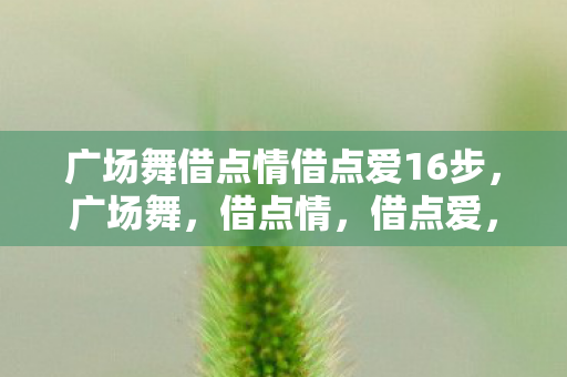 广场舞借点情借点爱16步,广场舞,借点情,借点爱,动动更健康 广场舞借点情借点爱16步,广场舞,借点情,借点爱,动动更健康