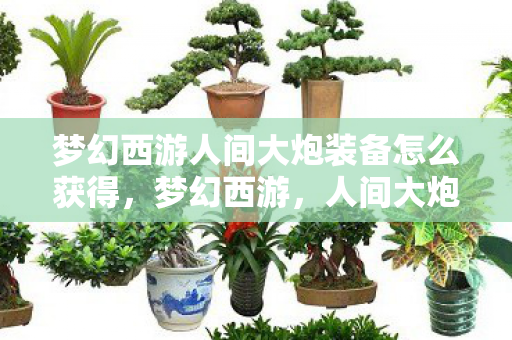 梦幻西游人间大炮装备怎么获得，梦幻西游，人间大炮装备全解析