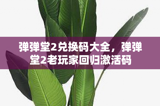 弹弹堂2兑换码大全，弹弹堂2老玩家回归激活码