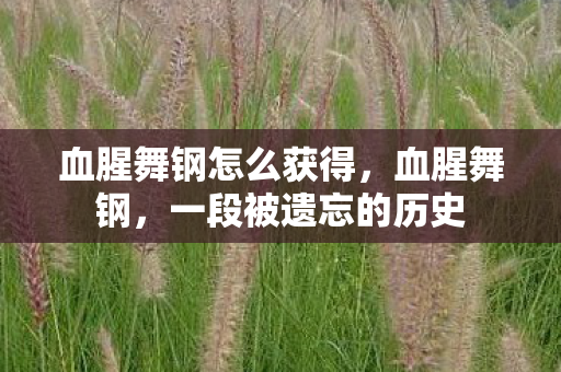 血腥舞钢怎么获得,血腥舞钢,一段被遗忘的历史 血腥舞钢怎么获得,血腥舞钢,一段被遗忘的历史