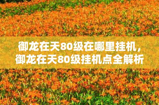 御龙在天80级在哪里挂机,御龙在天80级挂机点全解析 御龙在天80级在哪里挂机,御龙在天80级挂机点全解析