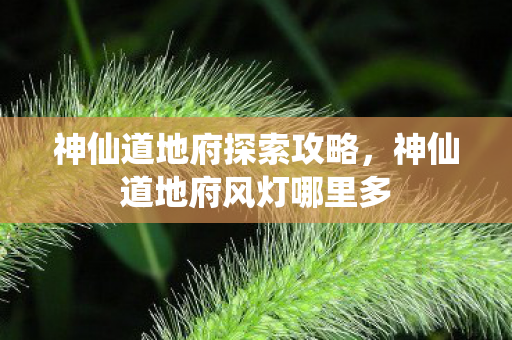 神仙道地府探索攻略,神仙道地府风灯哪里多 神仙道地府探索攻略,神仙道地府风灯哪里多