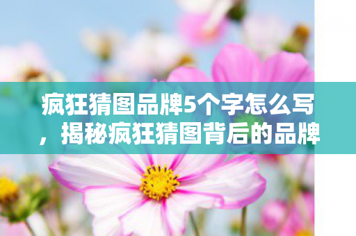 疯狂猜图品牌5个字怎么写,揭秘疯狂猜图背后的品牌魅力,五大字解码 疯狂猜图品牌5个字怎么写,揭秘疯狂猜图背后的品牌魅力,五大字解码