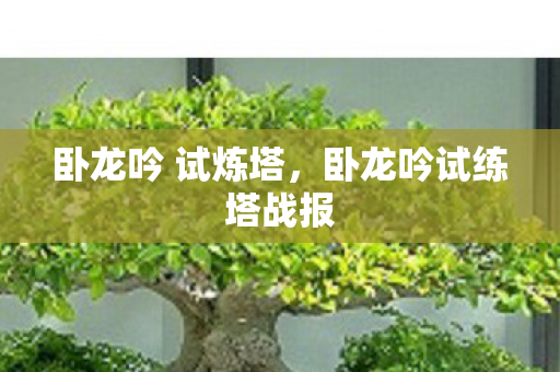 卧龙吟 试炼塔,卧龙吟试练塔战报 卧龙吟 试炼塔,卧龙吟试练塔战报