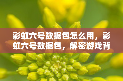 彩虹六号数据包怎么用,彩虹六号数据包,解密游戏背后的数据传输与安全性 彩虹六号数据包怎么用,彩虹六号数据包,解密游戏背后的数据传输与安全性