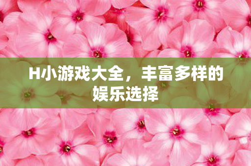 H小游戏大全,丰富多样的娱乐选择 H小游戏大全,丰富多样的娱乐选择
