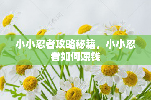 小小忍者攻略秘籍,小小忍者如何赚钱 小小忍者攻略秘籍,小小忍者如何赚钱