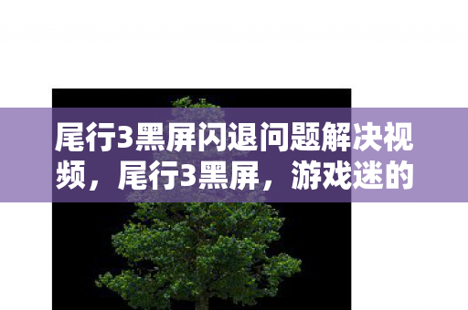 尾行3黑屏闪退问题解决视频,尾行3黑屏,游戏迷的困扰与解决之道 尾行3黑屏闪退问题解决视频,尾行3黑屏,游戏迷的困扰与解决之道