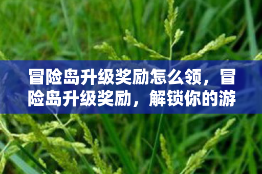 冒险岛升级奖励怎么领,冒险岛升级奖励,解锁你的游戏之旅 冒险岛升级奖励怎么领,冒险岛升级奖励,解锁你的游戏之旅