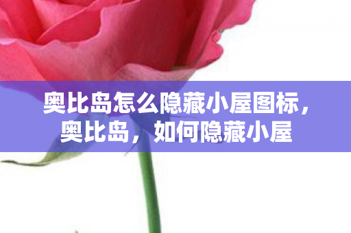 奥比岛怎么隐藏小屋图标,奥比岛,如何隐藏小屋 奥比岛怎么隐藏小屋图标,奥比岛,如何隐藏小屋