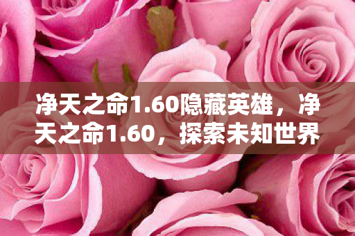 净天之命1.60隐藏英雄,净天之命1.60,探索未知世界的奇幻之旅 净天之命1.60隐藏英雄,净天之命1.60,探索未知世界的奇幻之旅