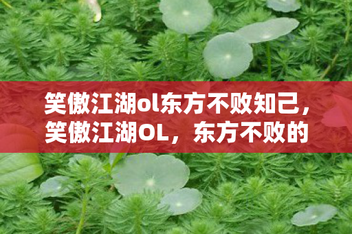 笑傲江湖ol东方不败知己,笑傲江湖OL,东方不败的传奇之路 笑傲江湖ol东方不败知己,笑傲江湖OL,东方不败的传奇之路