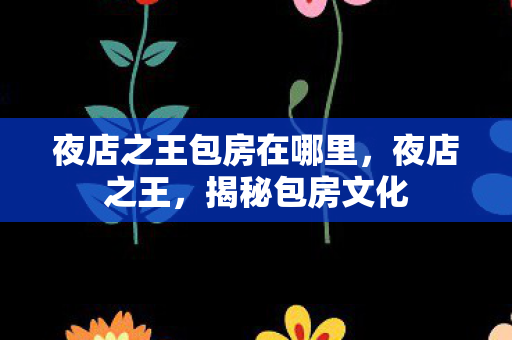 夜店之王包房在哪里,夜店之王,揭秘包房文化 夜店之王包房在哪里,夜店之王,揭秘包房文化