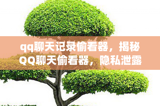 qq聊天记录偷看器,揭秘QQ聊天偷看器,隐私泄露的隐形威胁 qq聊天记录偷看器,揭秘QQ聊天偷看器,隐私泄露的隐形威胁