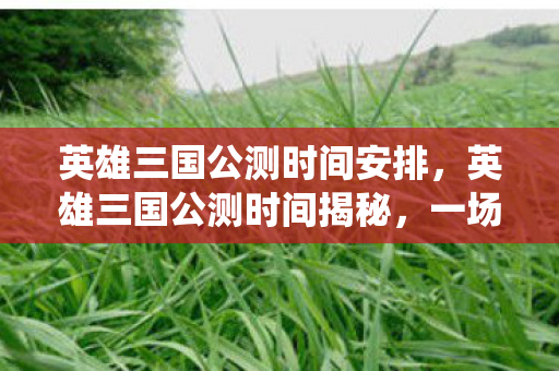 英雄三国公测时间安排,英雄三国公测时间揭秘,一场跨越时空的战役即将开启! 英雄三国公测时间安排,英雄三国公测时间揭秘,一场跨越时空的战役即将开启!