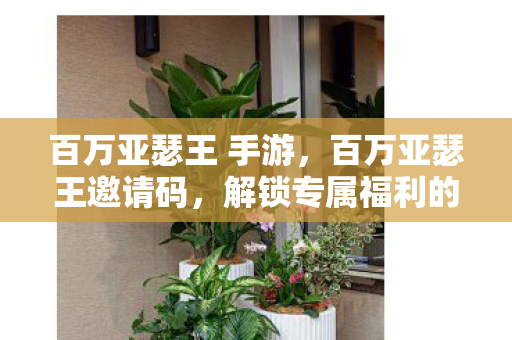 百万亚瑟王 手游,百万亚瑟王邀请码,解锁专属福利的密钥 百万亚瑟王 手游,百万亚瑟王邀请码,解锁专属福利的密钥