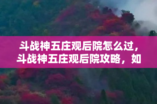 斗战神五庄观后院怎么过,斗战神五庄观后院攻略,如何轻松通关 斗战神五庄观后院怎么过,斗战神五庄观后院攻略,如何轻松通关