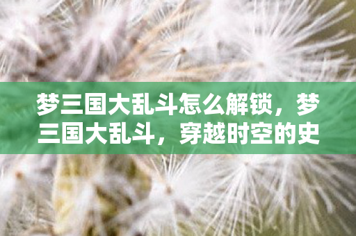 梦三国大乱斗怎么解锁，梦三国大乱斗，穿越时空的史诗对决