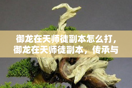 御龙在天师徒副本怎么打,御龙在天师徒副本,传承与成长的奇妙之旅 御龙在天师徒副本怎么打,御龙在天师徒副本,传承与成长的奇妙之旅