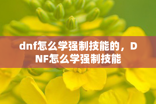 dnf怎么学强制技能的,DNF怎么学强制技能 dnf怎么学强制技能的,DNF怎么学强制技能