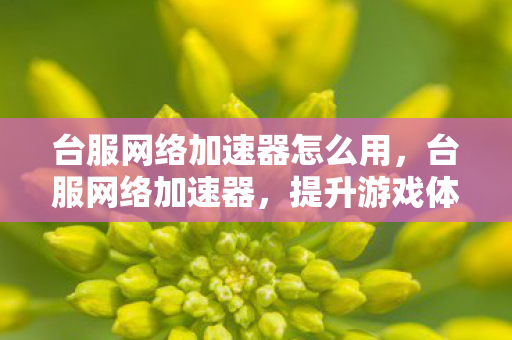 台服网络加速器怎么用,台服网络加速器,提升游戏体验的必备神器 台服网络加速器怎么用,台服网络加速器,提升游戏体验的必备神器