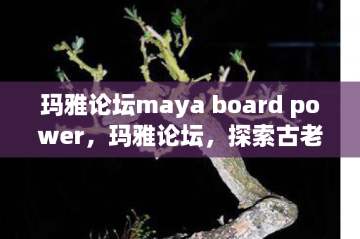 玛雅论坛maya board power，玛雅论坛，探索古老文明的智慧与未来