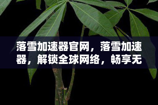 落雪加速器官网,落雪加速器,解锁全球网络,畅享无限可能 落雪加速器官网,落雪加速器,解锁全球网络,畅享无限可能