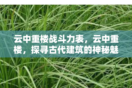 云中重楼战斗力表,云中重楼,探寻古代建筑的神秘魅力 云中重楼战斗力表,云中重楼,探寻古代建筑的神秘魅力