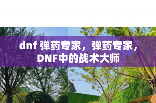 dnf 弹药专家,弹药专家,DNF中的战术大师 dnf 弹药专家,弹药专家,DNF中的战术大师