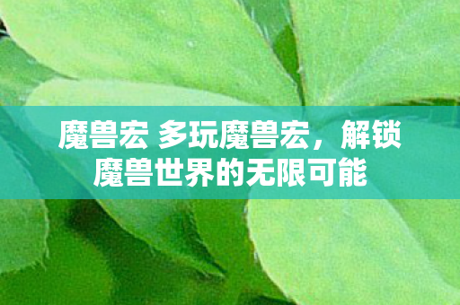 魔兽宏 多玩魔兽宏,解锁魔兽世界的无限可能 魔兽宏 多玩魔兽宏,解锁魔兽世界的无限可能