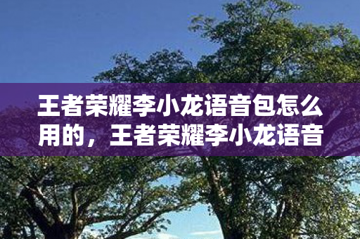 王者荣耀李小龙语音包怎么用的,王者荣耀李小龙语音包使用指南,解锁经典,重塑战场 王者荣耀李小龙语音包怎么用的,王者荣耀李小龙语音包使用指南,解锁经典,重塑战场