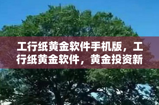 工行纸黄金软件手机版,工行纸黄金软件,黄金投资新选择 工行纸黄金软件手机版,工行纸黄金软件,黄金投资新选择