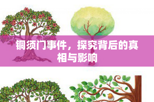 铜须门事件，探究背后的真相与影响