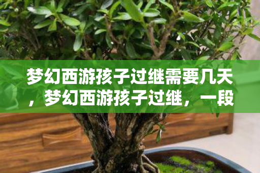 梦幻西游孩子过继需要几天,梦幻西游孩子过继,一段虚拟与现实的交织 梦幻西游孩子过继需要几天,梦幻西游孩子过继,一段虚拟与现实的交织