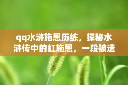 qq水浒施恩历练，探秘水浒传中的红施恩，一段被遗忘的英雄传奇