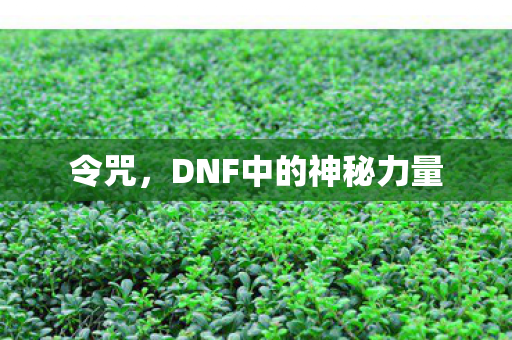 令咒，DNF中的神秘力量
