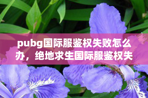pubg国际服鉴权失败怎么办，绝地求生国际服鉴权失败，原因分析与解决方案