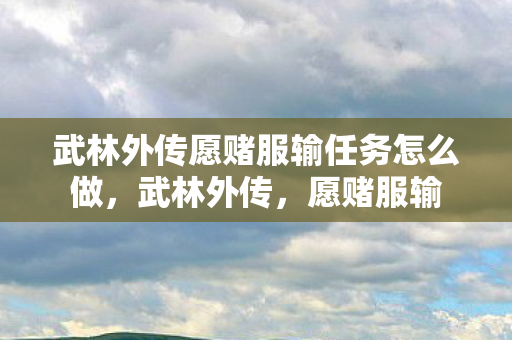武林外传愿赌服输任务怎么做,武林外传,愿赌服输 武林外传愿赌服输任务怎么做,武林外传,愿赌服输