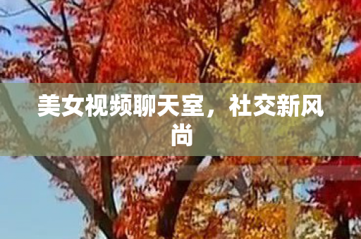 美女视频聊天室，社交新风尚