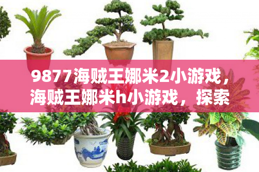 9877海贼王娜米2小游戏,海贼王娜米h小游戏,探索未知海域的冒险之旅 9877海贼王娜米2小游戏,海贼王娜米h小游戏,探索未知海域的冒险之旅