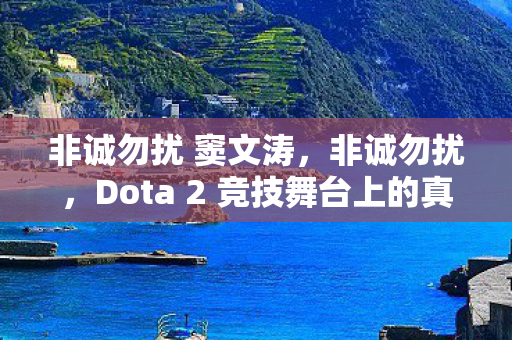 非诚勿扰 窦文涛,非诚勿扰,Dota 2 竞技舞台上的真诚与尊重 非诚勿扰 窦文涛,非诚勿扰,Dota 2 竞技舞台上的真诚与尊重