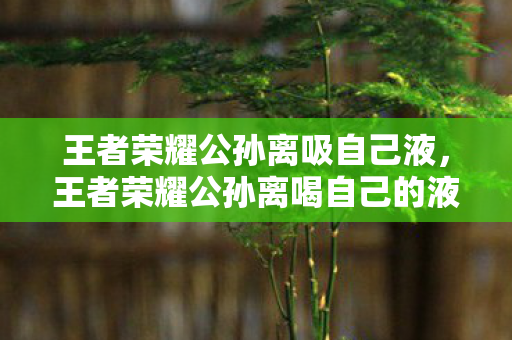 王者荣耀公孙离吸自己液,王者荣耀公孙离喝自己的液体?揭秘游戏中的神秘情节与角色设定 王者荣耀公孙离吸自己液,王者荣耀公孙离喝自己的液体?揭秘游戏中的神秘情节与角色设定